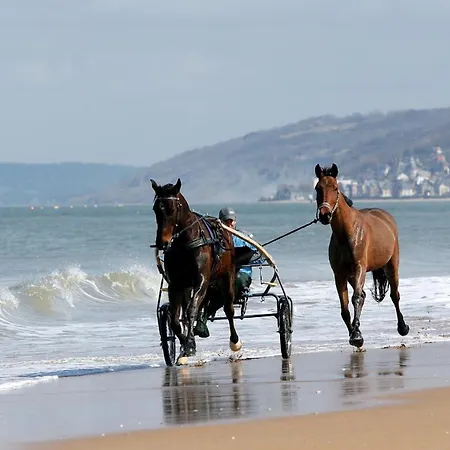 Apartment Les Pieds Dans Le Sable *